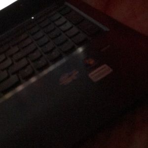 Meet your Posher, Bailey